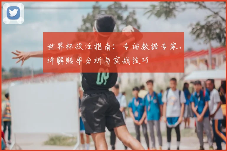 世界杯投注指南:专访数据专家,详解赔率分析与实战技巧