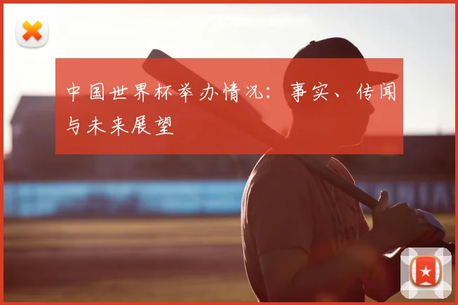 中国世界杯举办情况：事实、传闻与未来展望