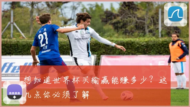 想知道世界杯买输赢能赚多少？这几点你必须了解