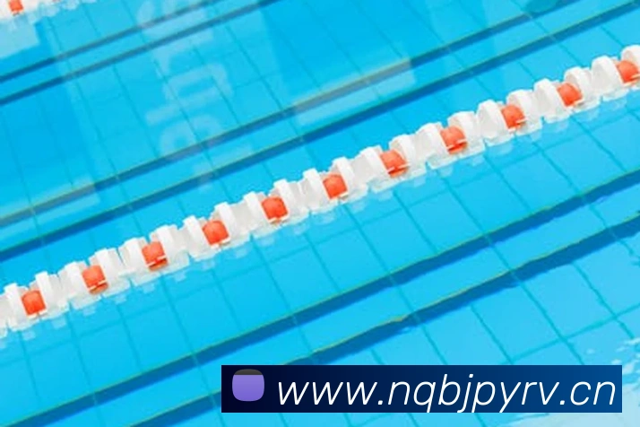 星空体育(中国)官方网站平台生态图