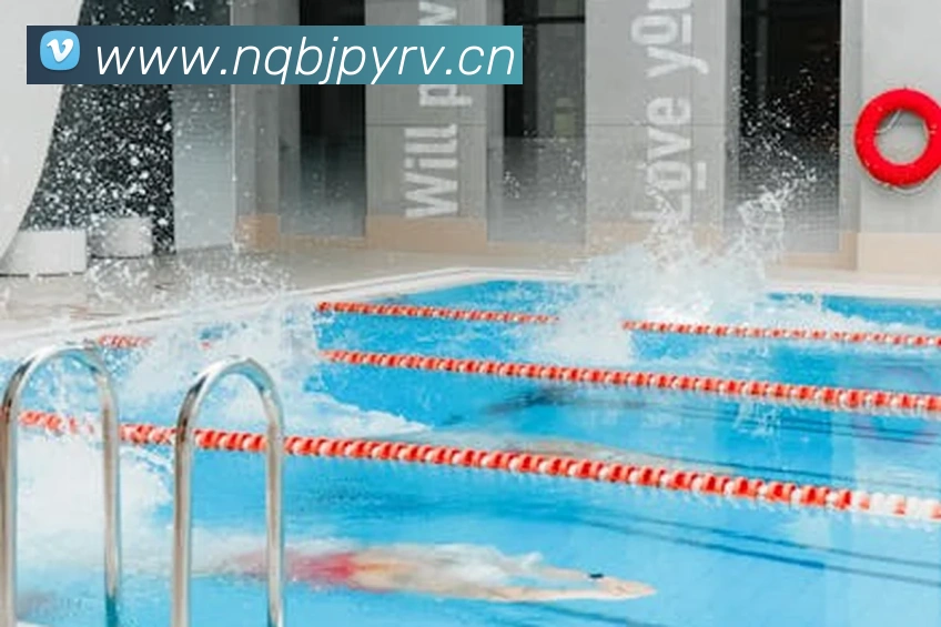 星空体育(中国)官方网站APP 封面图